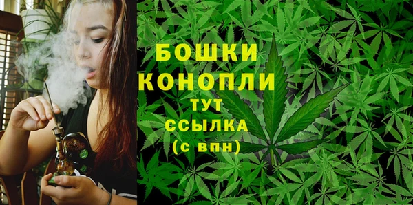 крисы Балахна