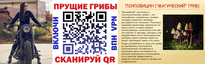 Псилоцибиновые грибы ЛСД  Красноармейск 